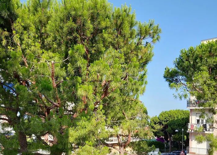 Appartement Cala Mare Albenga